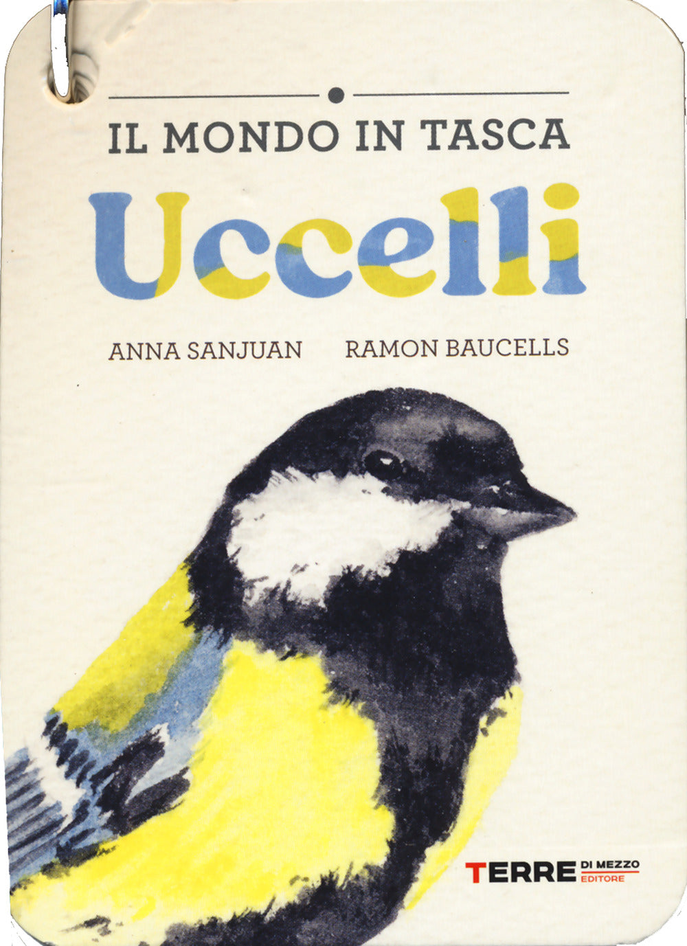 Uccelli. Il mondo in tasca. Ediz. a colori