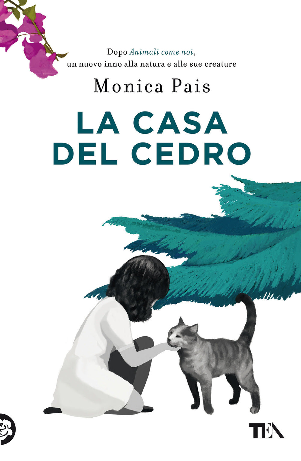 La casa del cedro.
