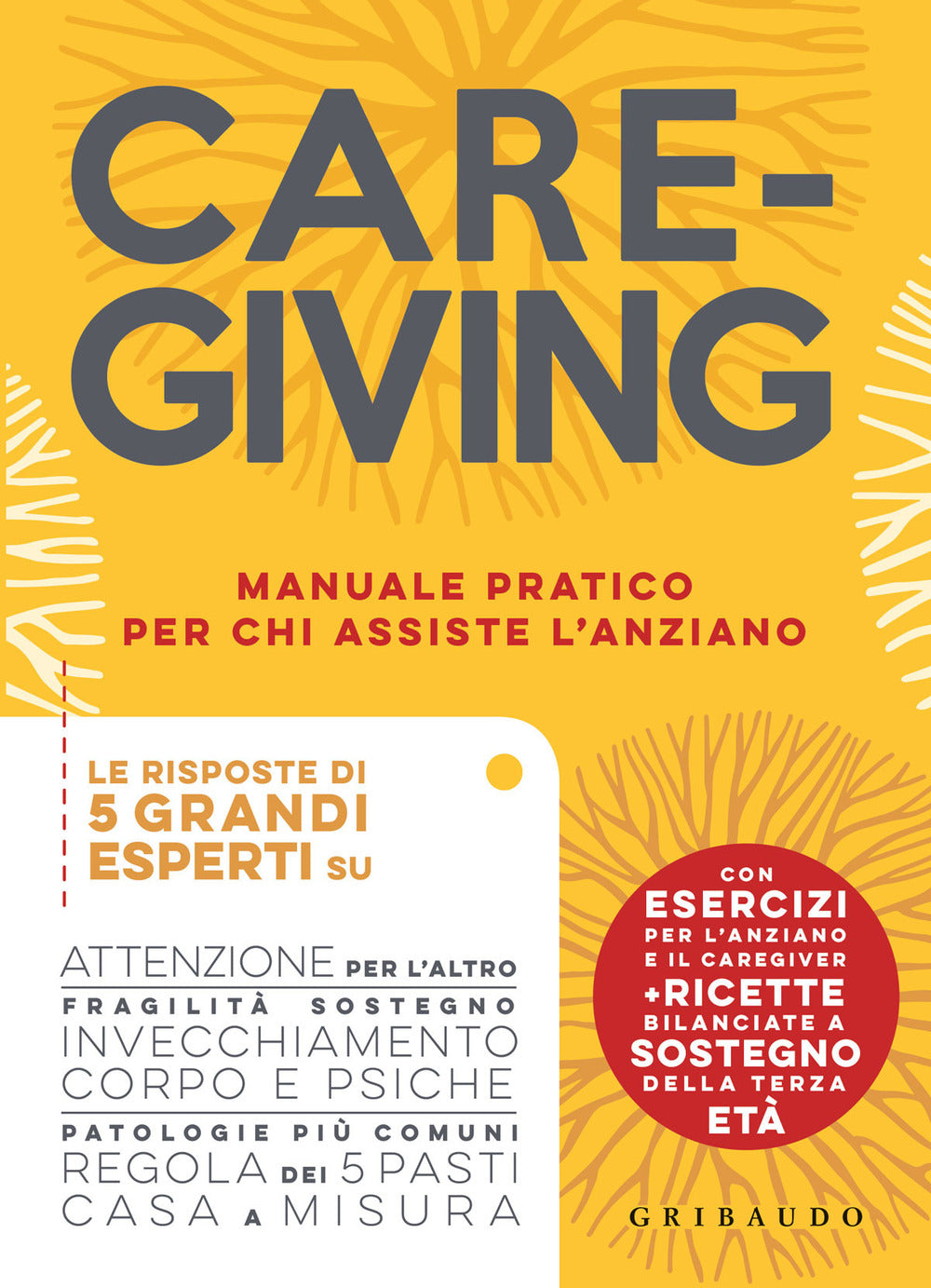 Caregiving. Manuale pratico per chi assiste l'anziano.