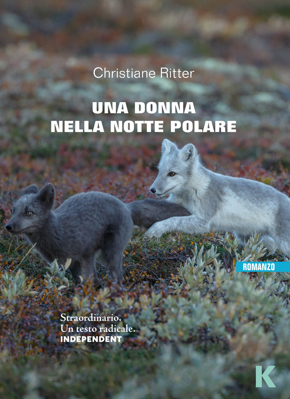 Una donna nella notte polare.