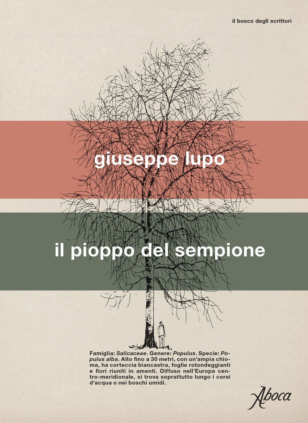 Il pioppo del Sempione.