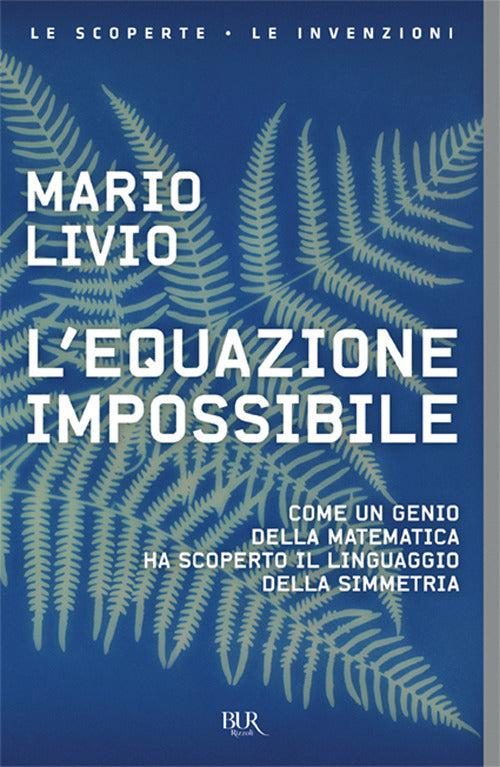 L'equazione impossibile. Come un genio della matematica ha scoperto il linguaggio della simmetria.