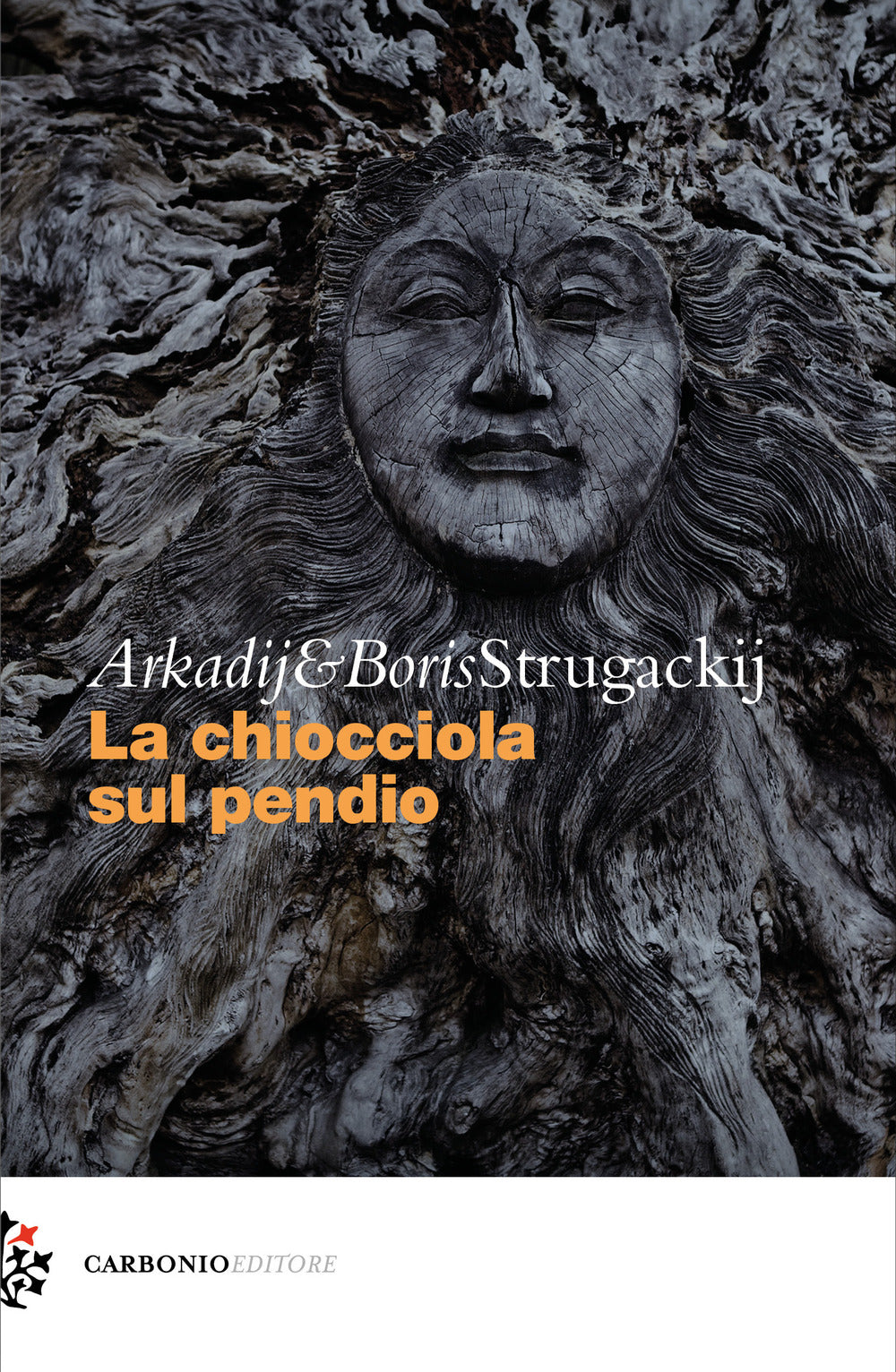 La chiocciola sul pendio.