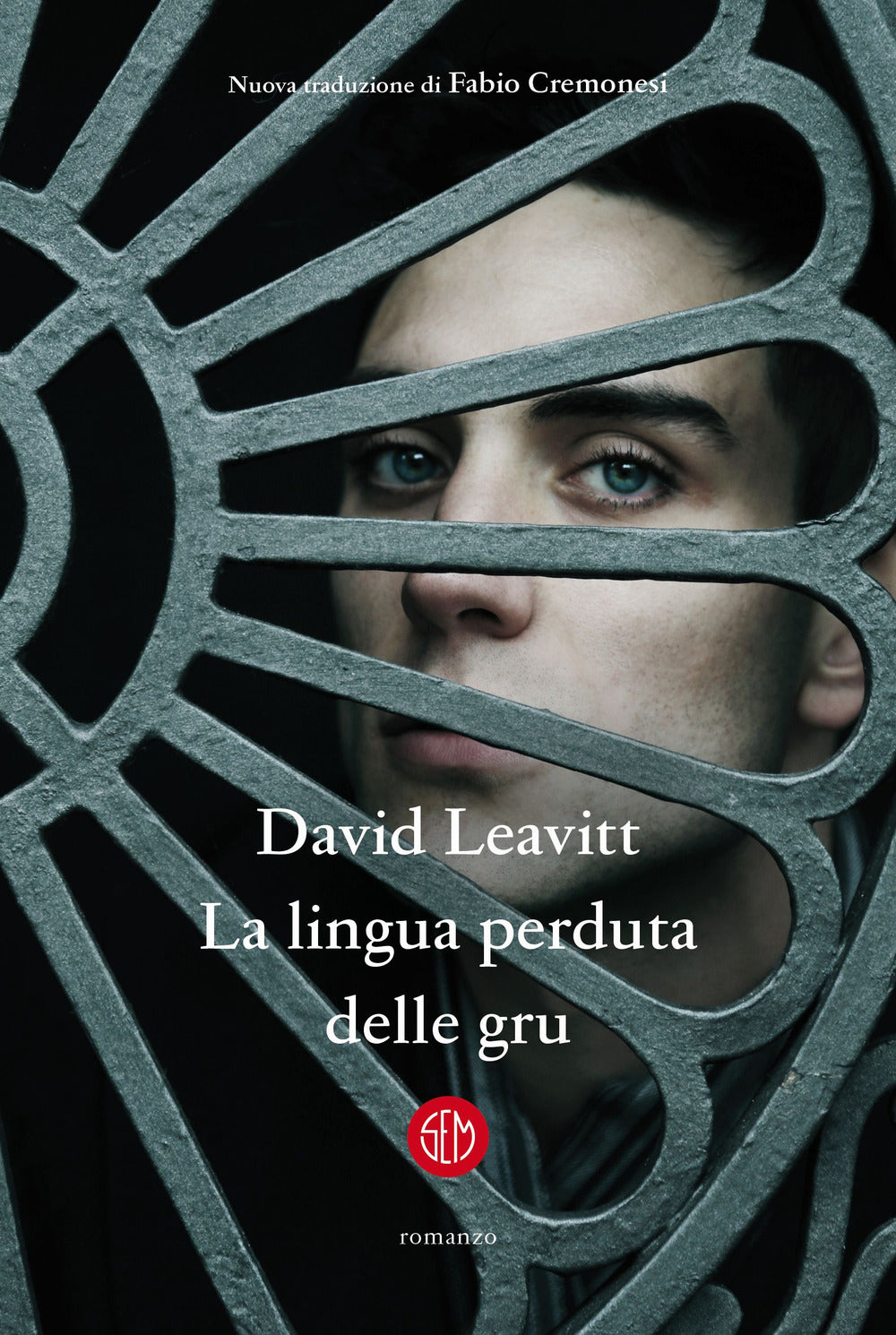 La lingua perduta delle gru.