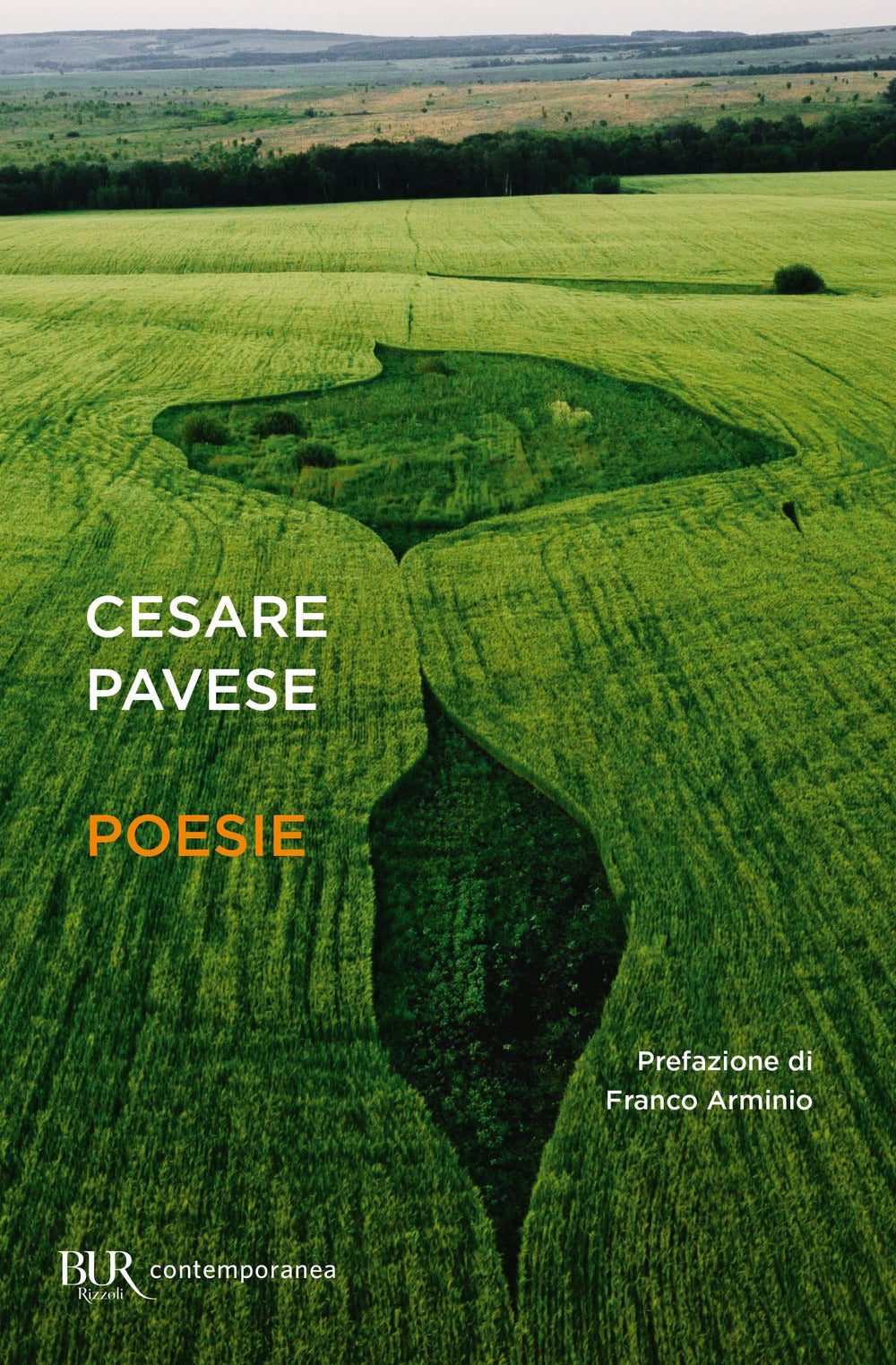 Poesie.