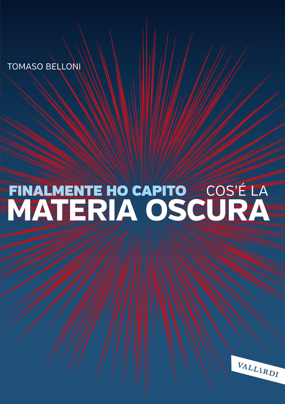 Finalmente ho capito cos'è la materia oscura.
