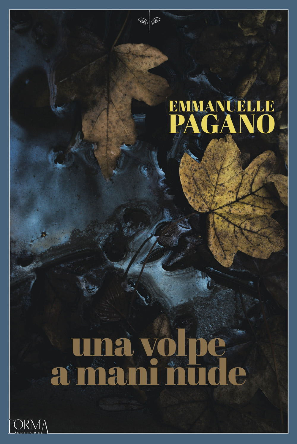 Una volpe a mani nude.