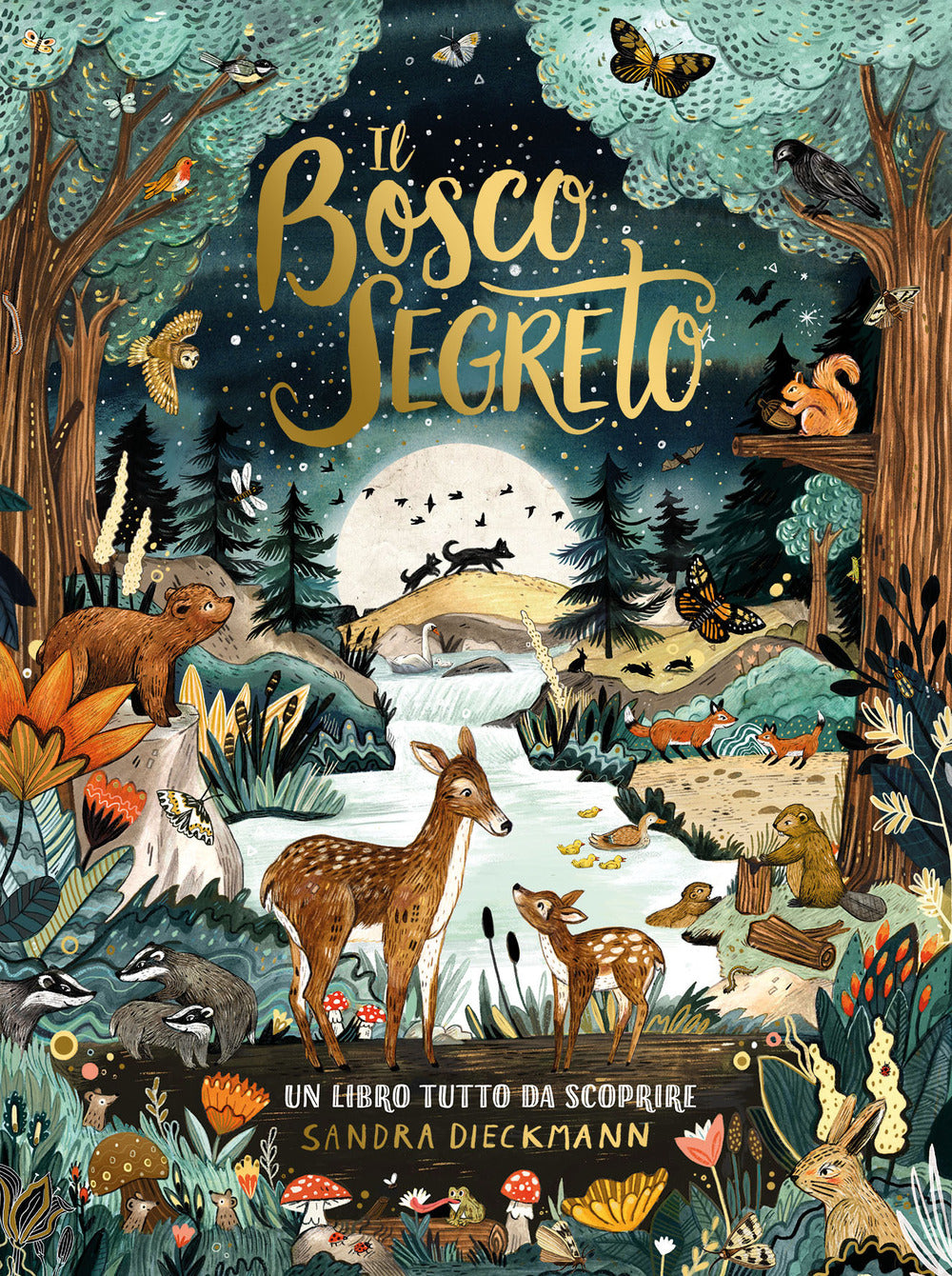 Il bosco segreto. Ediz. a colori.