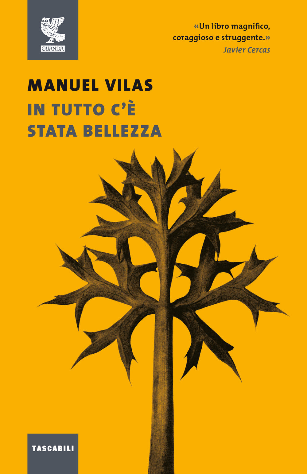 In tutto c'è stata bellezza.