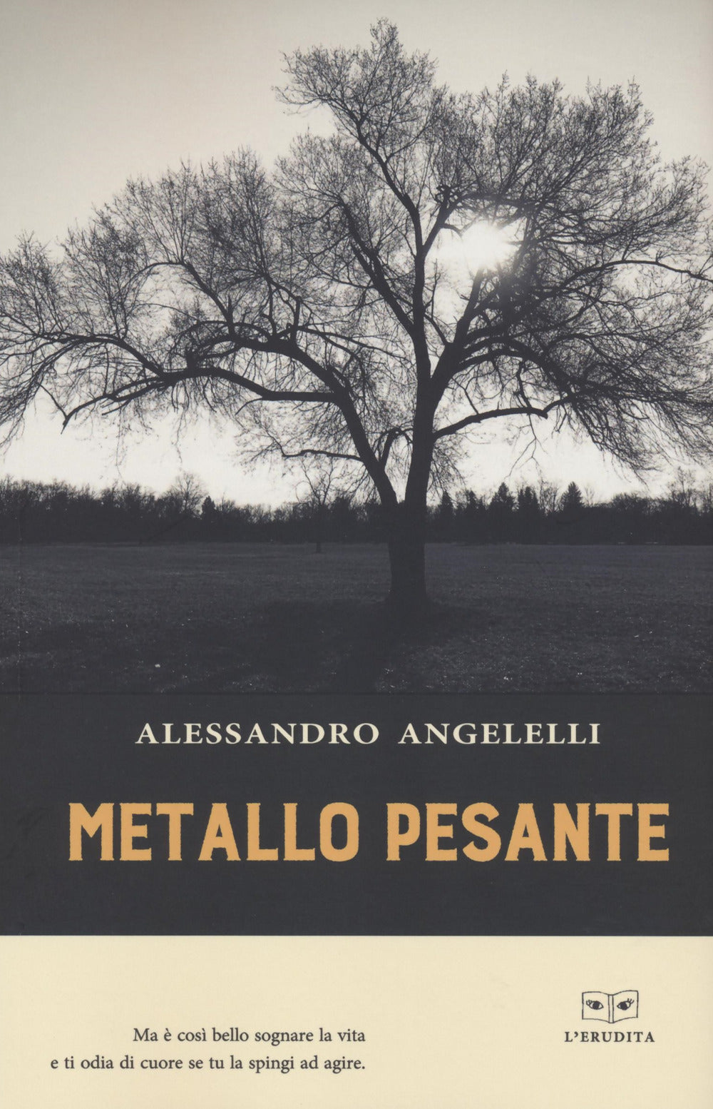 Metallo pesante.