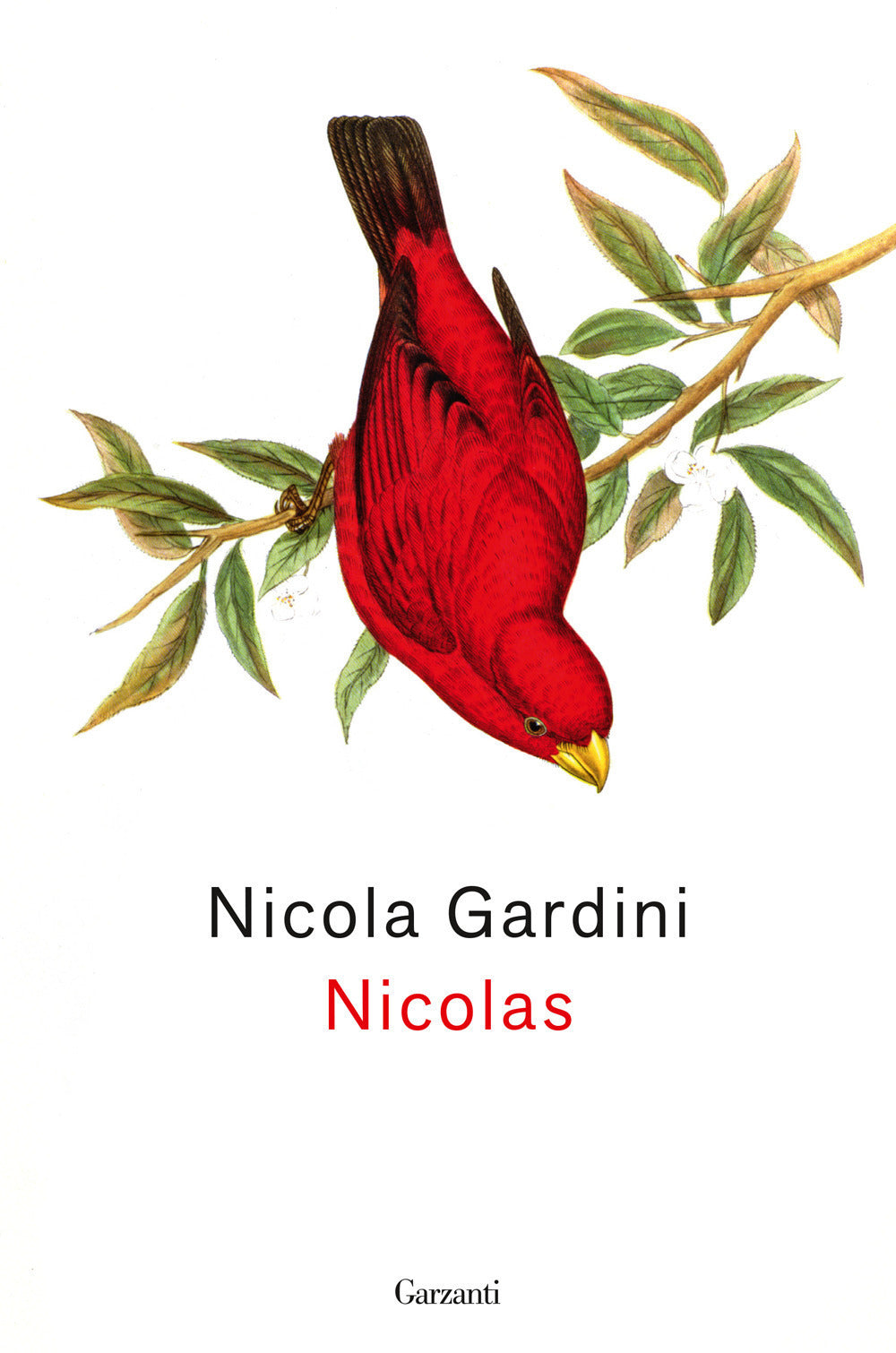 Nicolas.