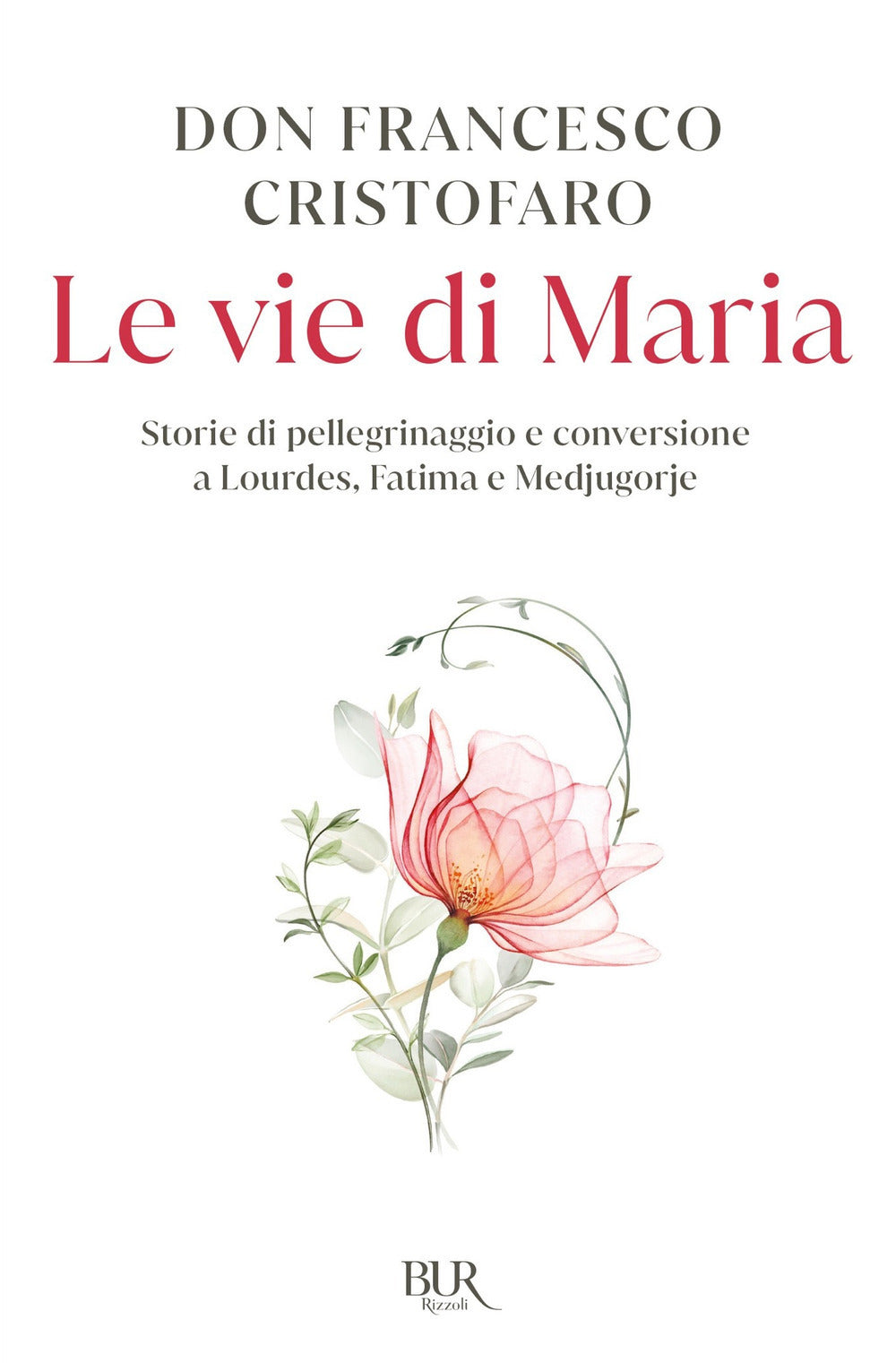 Le vie di Maria. Storie di pellegrinaggio e conversione a Lourdes, Fatima e Medjugorje