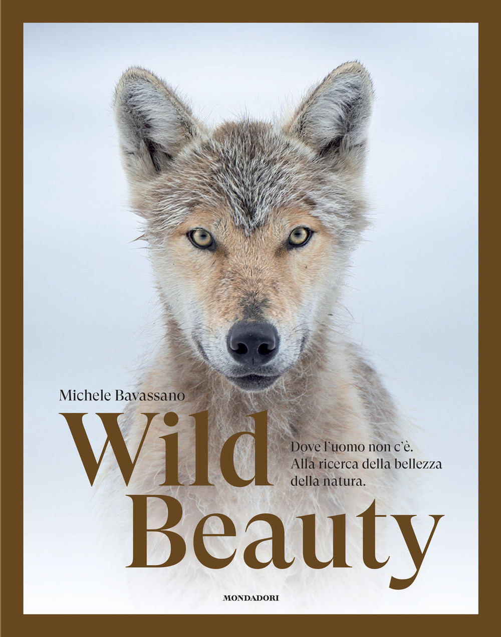 Wild beauty. Dove l'uomo non c'è. Alla ricerca della bellezza della natura. Ediz. a colori