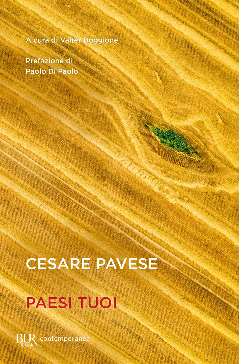 Paesi tuoi.