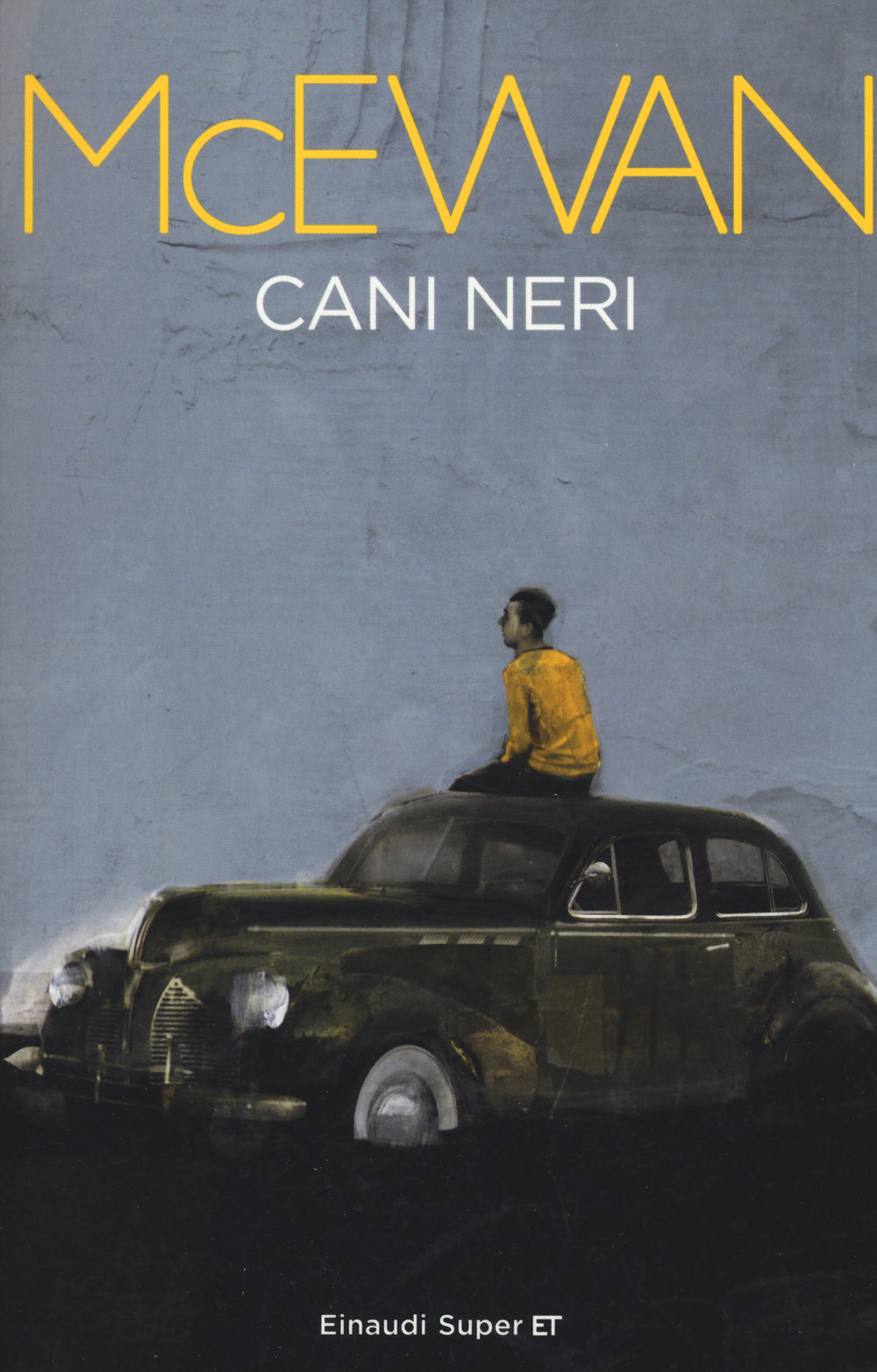 Cani neri.