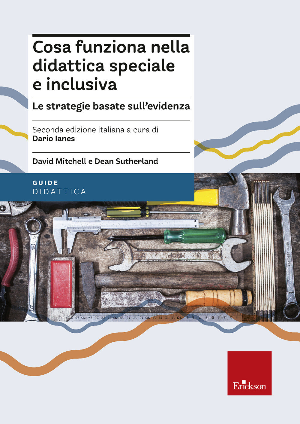 Cosa funziona nella didattica speciale e inclusiva. Le strategie basate sull'evidenza. Nuova ediz..
