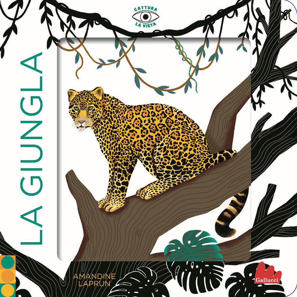 La giungla. Cattura la vista. Ediz. a colori.
