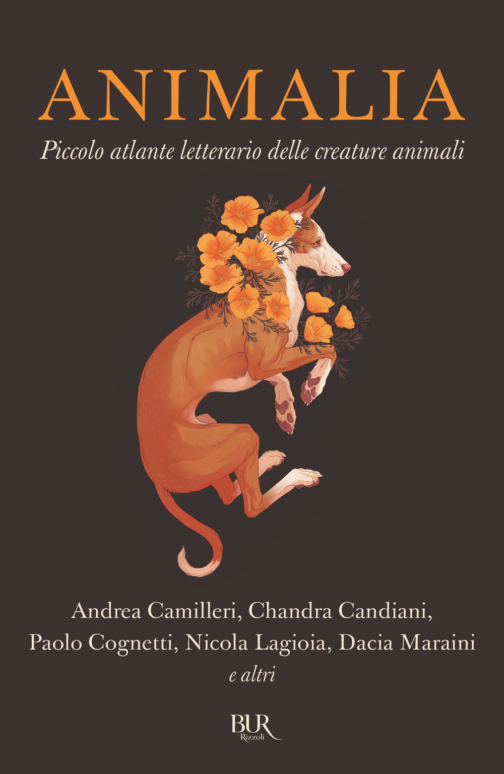 Animalia. Piccolo atlante delle creature animali.