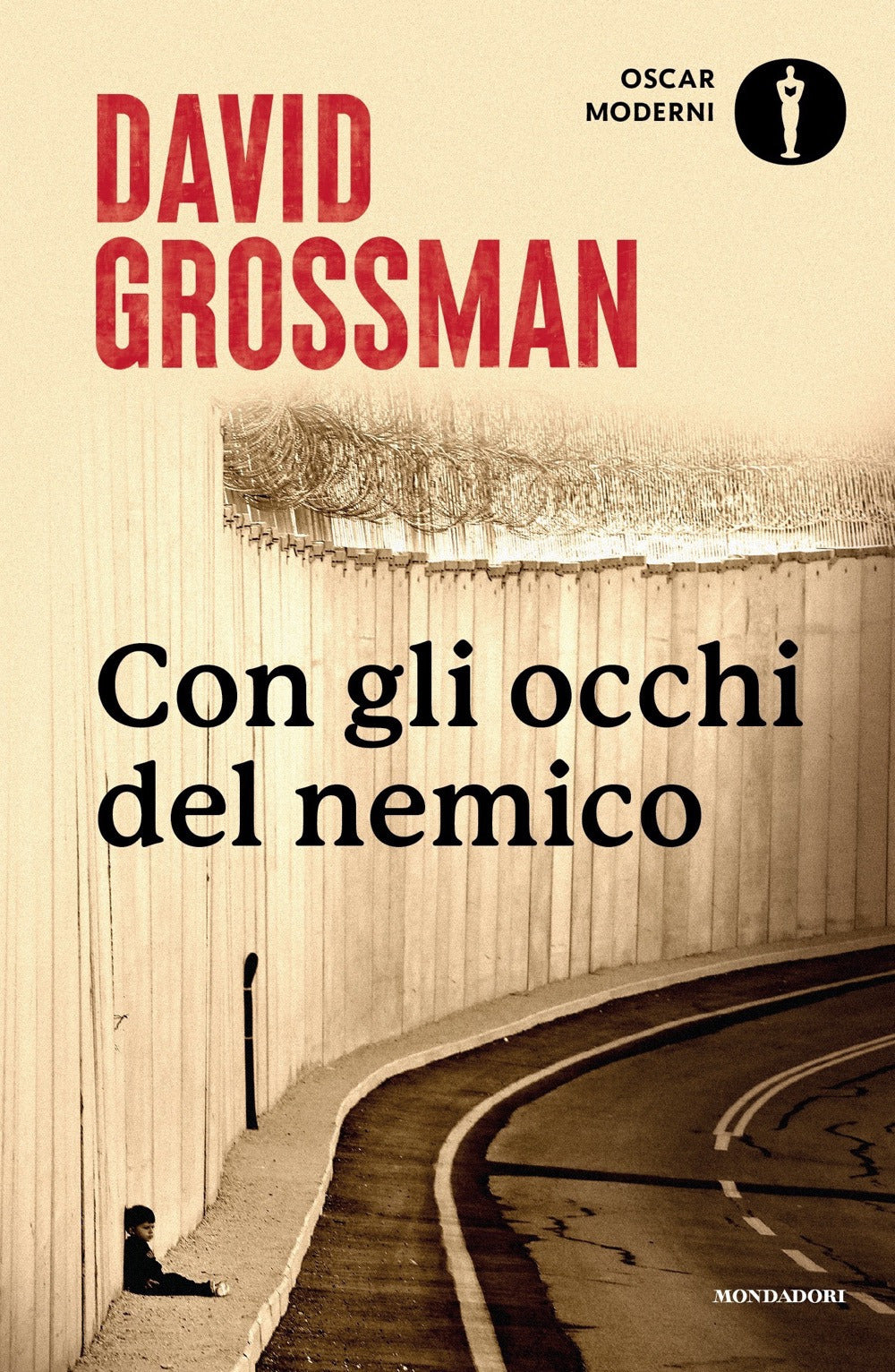 Con gli occhi del nemico. Raccontare la pace in un paese in guerra.